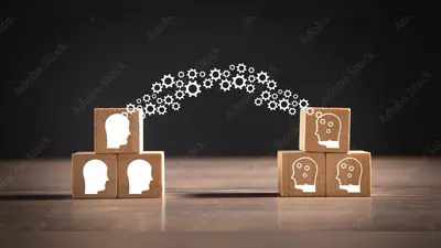 Demystifying Transfer Learning in Deep Learning: Unlocking the Power of Pretrained Models