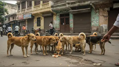 आवारा कुत्तों को सड़क पर खाना खिलाने पर सुप्रीम कोर्ट का बड़ा सवाल: ‘इन्हें अपने घर में क्यों नहीं खिलाते?’