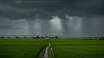 यूपी: तराई के जिलों में कल भारी बारिश का अलर्ट, मॉनसूनी ट्रफ लाइन उत्तर में खिसकी – मौसम में बड़ा बदलाव!