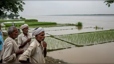 बुलंदशहर में गंगा का जलस्तर आधा फीट से बढ़ा, बिजनौर बैराज से पानी छोड़े जाने से किसानों की चिंता हुई गहरी