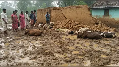 सीतापुर में बारिश का कहर: कच्ची दीवार गिरने से एक युवक की मौत, नौ मवेशी भी मरे; दूसरा युवक गंभीर