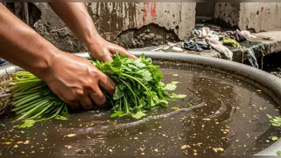 नाले के पानी से धोई जा रही सब्जियां: आपकी थाली में पहुँचने से पहले जानें पूरी सच्चाई!