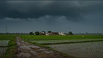 अलर्ट! यूपी के 17 जिलों में आज मूसलाधार बारिश, तराई बेल्ट में फिर मानसून सक्रिय