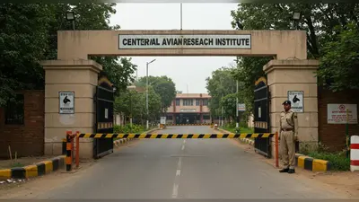 बर्ड फ्लू का खतरा: बरेली में अलर्ट, सीएआरआई में बाहरी लोगों और वाहनों का प्रवेश बंद
