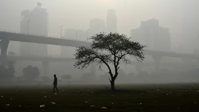 भारत की पर्यावरण रिपोर्ट चिंताजनक: विकास और पारिस्थितिकी में संतुलन की नई चुनौती