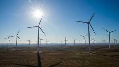 Green Energy Boost: Tata Power, Suzlon Partner for Mega Wind Project
