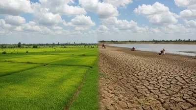 Monsoon Performance Mixed for Tamil Nadu Amidst Rainfall Deficit