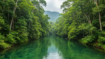 पर्यावरण संरक्षण: साइलेंट वैली की विरासत पर आगे बढ़ते भारत के नए कदम