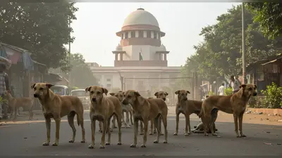आवारा कुत्तों पर सुप्रीम कोर्ट का फैसला आज:डॉग्स को शेल्टर होम भेजने के आदेश से विवाद शुरू हुआ, 7 दिन पहले फैसला सुरक्षित रखा था