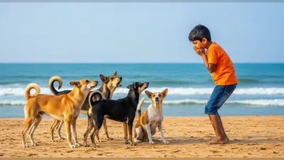 बीच पर लड़के की अनोखी शरारत: मुंह छुपाकर भौंका, कुत्तों का रिएक्शन देख लोग हैरान