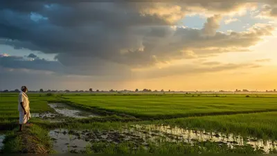 यूपी में अच्छी बारिश का दौर खत्म, अब कमजोर पड़ेगा मानसून; 31 अगस्त तक के नए पूर्वानुमान जारी