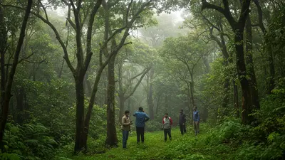 साइलेंट वैली आंदोलन भारत का एक महत्वपूर्ण पर्यावरण बचाओ अभियान