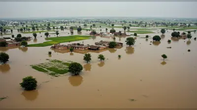 अलीगढ़ के टप्पल में बाढ़ का कहर: यमुना खतरे के निशान से ऊपर, 12 गांवों की फसलें बर्बाद