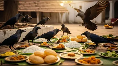 ‘अभी तो पार्टी शुरू हुई है!’ श्राद्ध में कौवों की मौज, जानें क्यों वायरल हो रही है यह बात