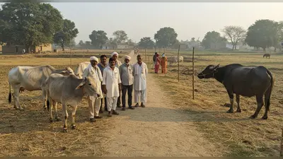 यूपी में लम्पी का कहर: 7 जिलों में पशुओं पर लगा प्रतिबंध, मेले रद्द, किसानों की बढ़ी चिंता