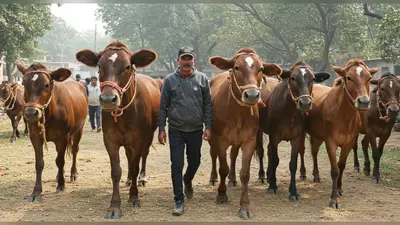 संभल में पूर्व विधायक पर जमीन हड़पने और धोखाधड़ी का आरोप, किसान नेताओं ने SDM को सौंपा ज्ञापन