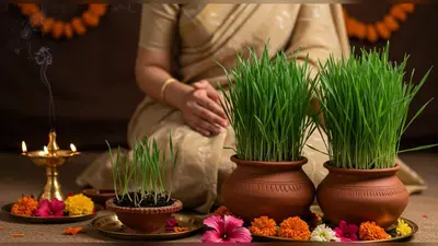 नवरात्रि के तीसरे दिन तक जौ अंकुरित न होने पर अपनाएं ये तत्काल उपाय, जानिए हरे-भरे जौ देते हैं क्या शुभ संकेत