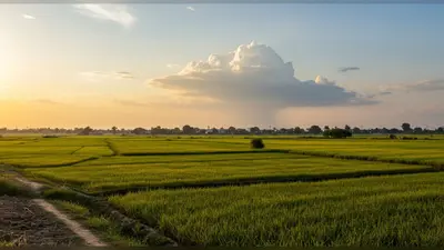यूपी में मानसून अलविदा: प्रदेश के अधिकतर जिलों से लौटा, हुई 5% कम बारिश; जानिए कहां-कहां होगी आखिरी बारिश