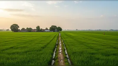 रुहेलखंड से मानसून की विदाई: अगस्त-सितंबर में खूब बरसे बदरा, अब कैसा रहेगा मौसम का मिजाज?