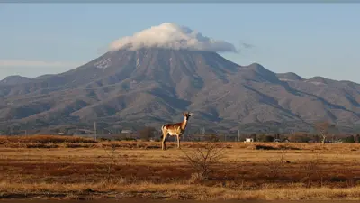 शिक्षा मंत्री का बड़ा बयान: शिक्षकों के आंदोलन को विपक्ष के अराजक तत्व दे रहे हवा, बदनाम करने वालों की होगी पहचान