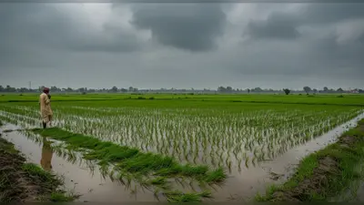 यूपी में जाते मानसून का कहर: रिकॉर्ड बारिश से धान की फसल बर्बाद, 7 अक्तूबर तक इन जिलों में चेतावनी
