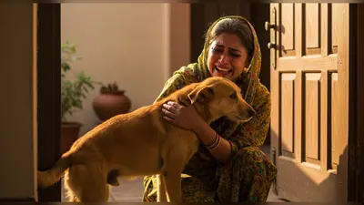 घर से भागा कुत्ता दो महीने बाद ऐसे लौटा, मालकिन की खुशी का ठिकाना नहीं रहा!