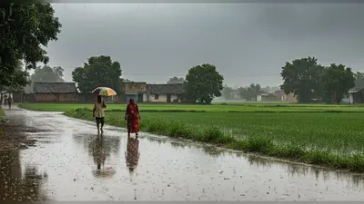 हरियाणा में अगले 3 दिन फिर बारिश का अलर्ट, मानसून में 33% अधिक बरसात दर्ज; 8 अक्टूबर के बाद गिरेगा तापमान