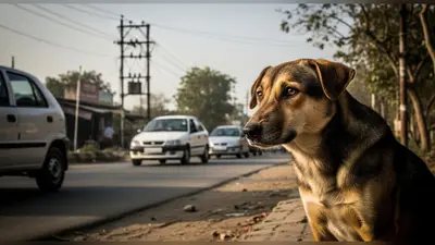दिल पिघला देगी यूपी की यह घटना: जब एक बेजुबान ने पूछा, ‘मेरी घर ले जाने वाली कार कौन-सी है?’