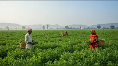 किसान जून-जुलाई में करें स्टीविया की खेती: प्रति किलो 5000 रुपये तक की कमाई, बदलेगी आर्थिक दशा