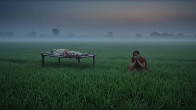 मुरादाबाद: धान के खेत में मिली किसान की लाश, चारपाई पर पड़ा मिला शव; बेटी की चीखों से दहला इलाका
