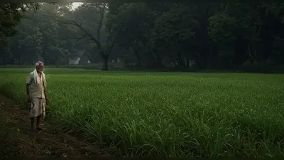 बहराइच में बाघ का आतंक: खेत में काम कर रहे किसान को नोचकर मारा, 10 महीनों में पांच मौतें, इलाके में दहशत