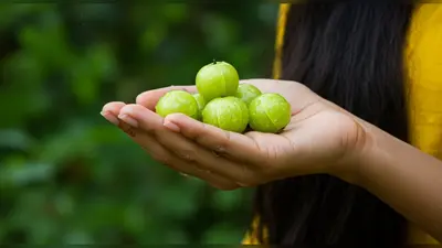 बरसात में बालों के लिए अमृत समान है यह खट्टा फल: आयुर्वेद विशेषज्ञ बता रहे हैं इसके चौंकाने वाले फायदे
