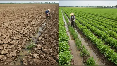 रासायनिक उर्वरकों से मिट्टी और भूजल को कैसे बचाएं कृषि समाधान
