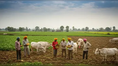 कृषि अधिशेष से आय कैसे बढ़ाएँ और गैर-कृषि व्यवसायों में निवेश करें?